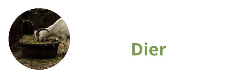 Ecologische producten