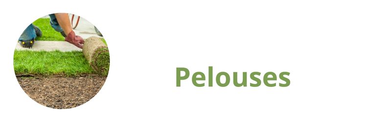 Pelouses