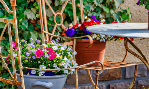 Tuintips voor april!