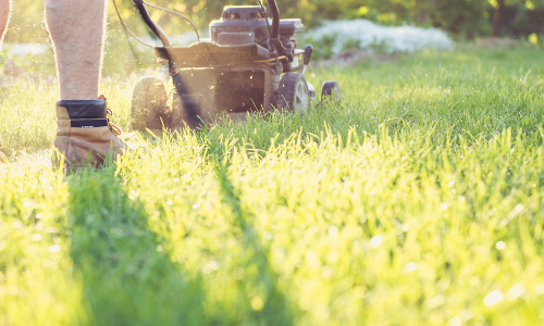 Het gazon herstellen na lange droogte.
