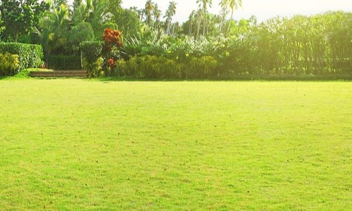 Hoe ga ik best met mijn gazon om?