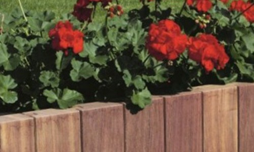 Onderhouden van de border