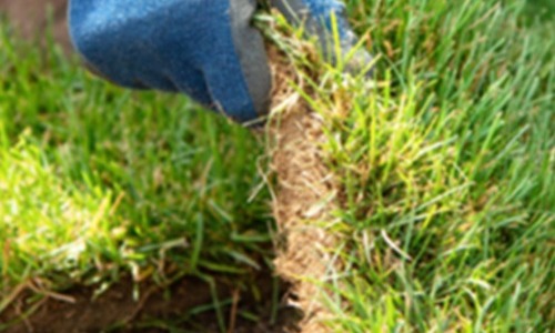 Hoe leg ik best grasmatten aan?